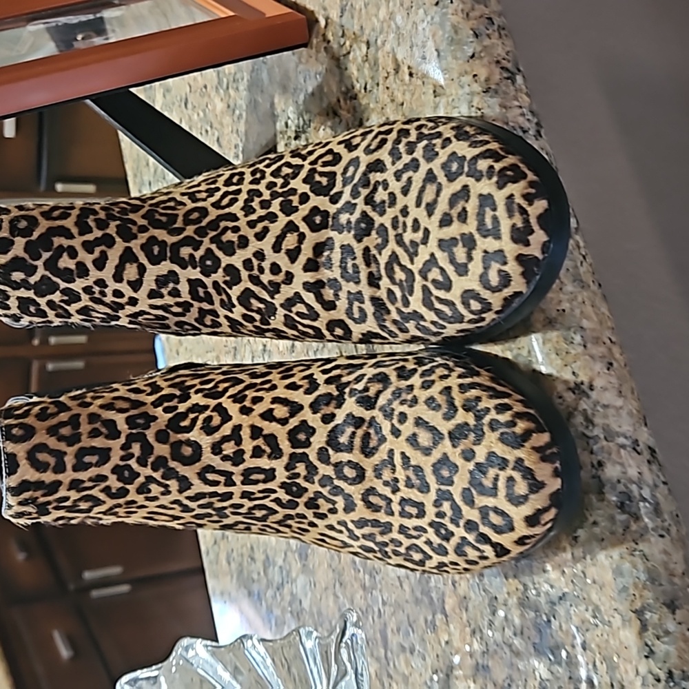 Cole Haan ankle booties. Worn 2x. 25 BUCKS